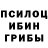 Галлюциногенные грибы Cubensis Eda Karabacak