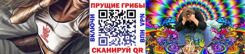 Галлюциногенные грибы Psilocybine cubensis  купить  сайты  Сегежа 